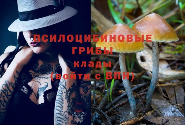 бутират Лагань