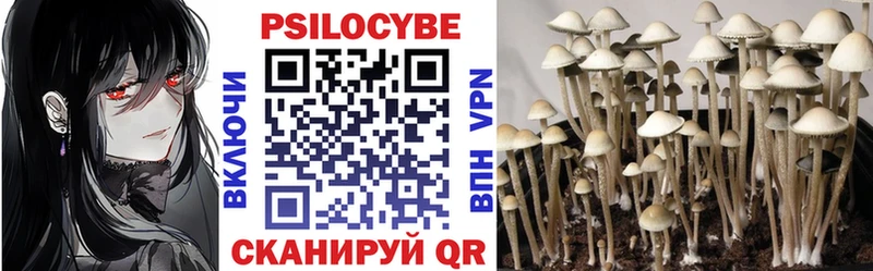 Галлюциногенные грибы Cubensis  OMG как войти  Электроугли 